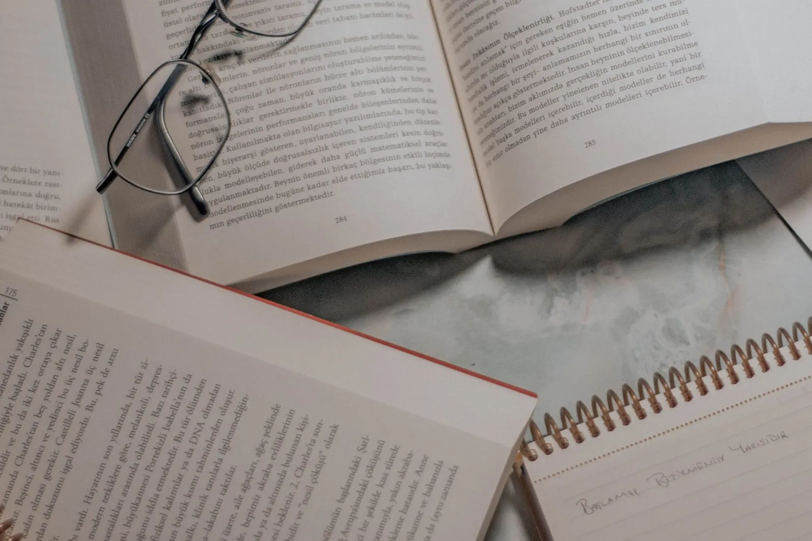 Açık kitap, gözlük ve not defteri